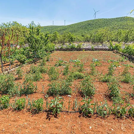 09 Mravnica (Sibenik)